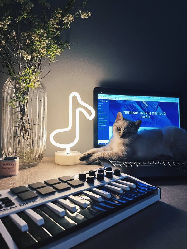 Midi клавиатура akai mpk 3 mini