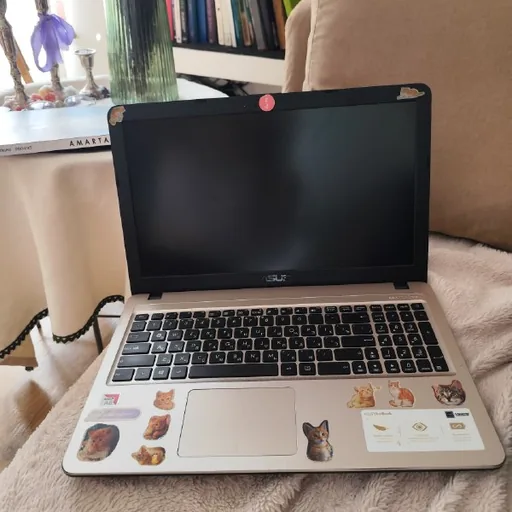 Ноутбук ASUS