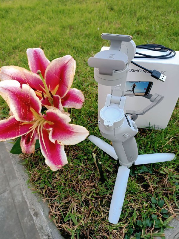 Стабилизатор DJI Osmo Mobile SE 2