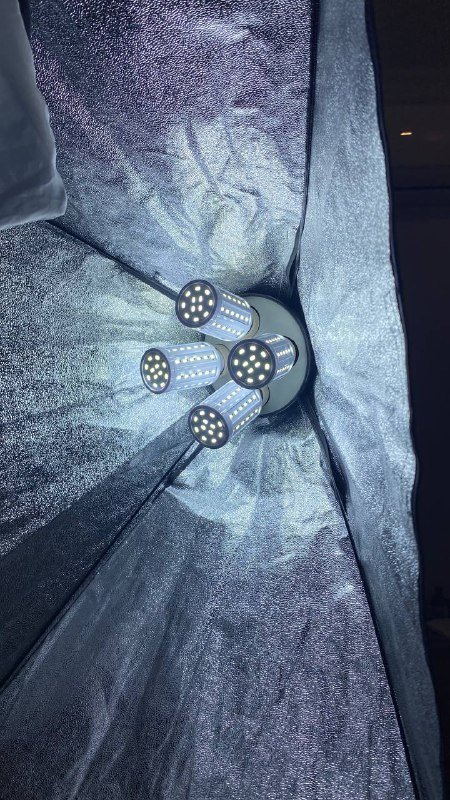 Софтбокс с четырьмя лампами для фото и видео 2