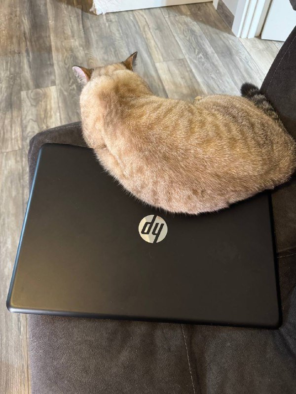 HP Pavilion 17-ab425ur ноутбук