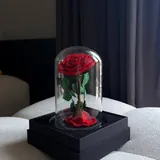 Вечная роза под стеклянным куполом 2