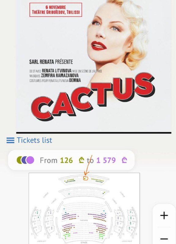Билет на спектакль Ренаты Литвиновой Кактус
