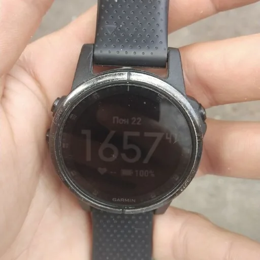 Garmin Phoenix 5 Plus