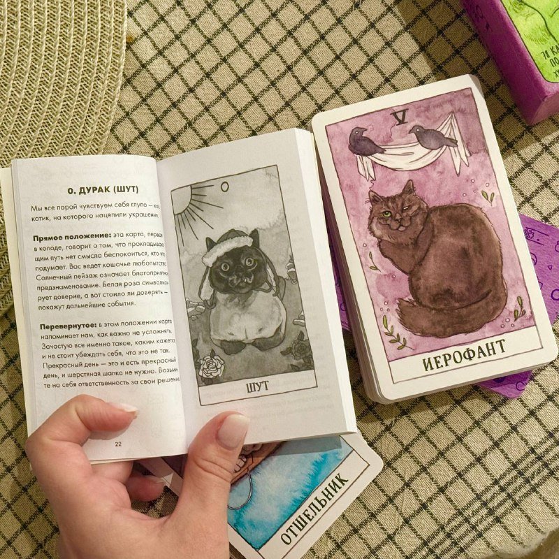 Таро котиков 2