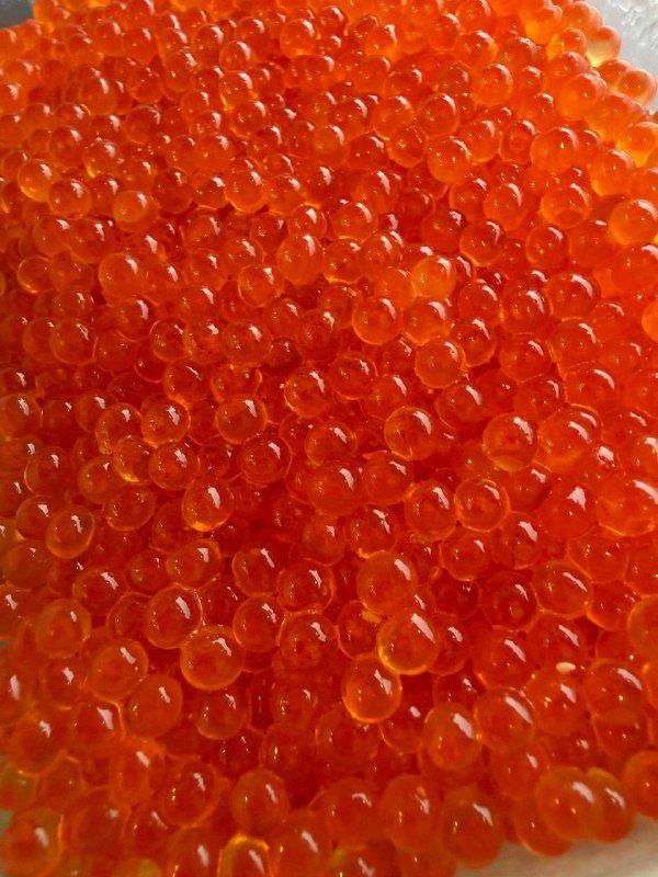 икра турецкого лосося 100 грамм