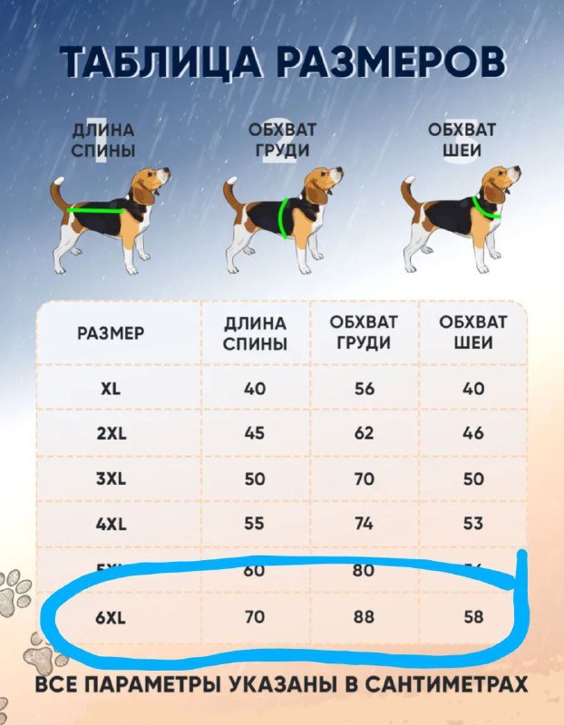 Плащ-дождевик для крупной собаки 3