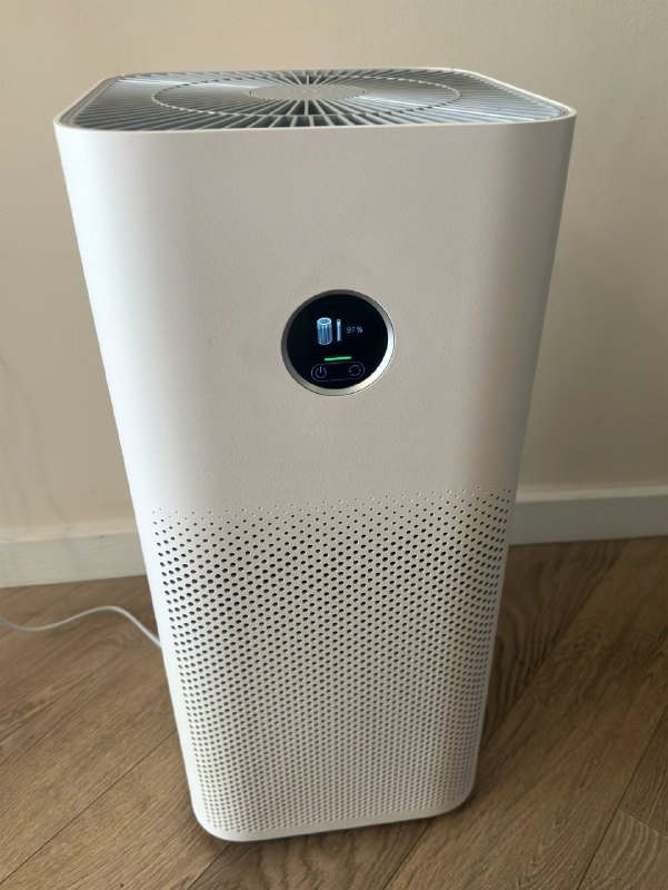 Тарелки с секторами для разных типов блюд