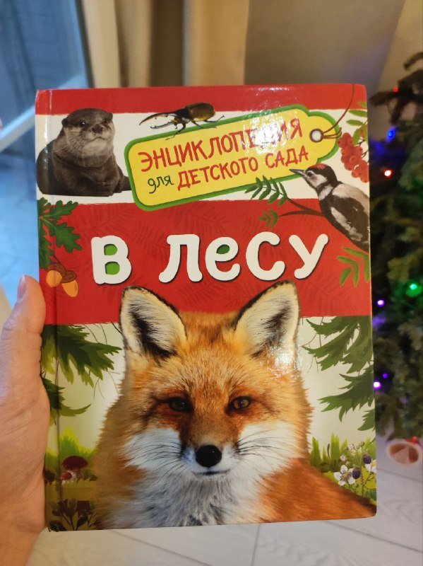Энциклопедия для детского сада В лесу