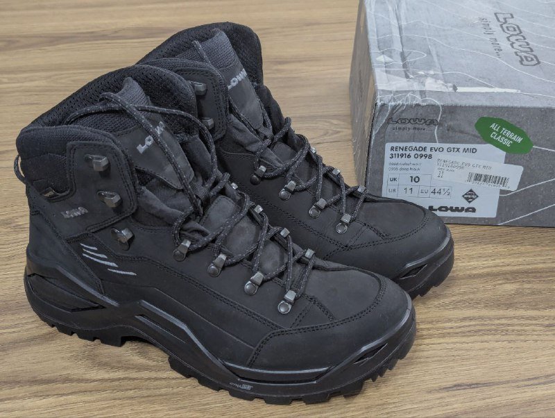Мужские ботинки Lowa Renegade Evo GTX Mid