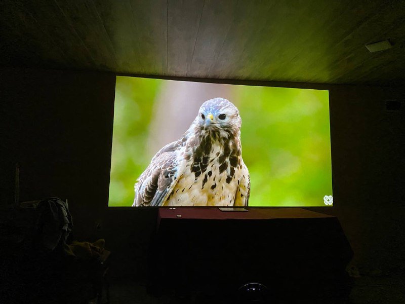 Проектор Sharp PG-D40W3D 8