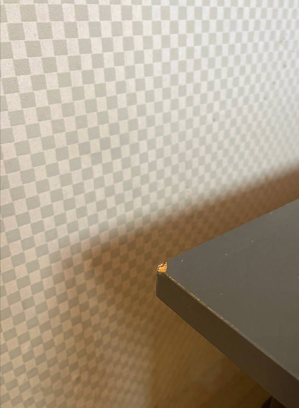 Стол рабочий из ЛДСП 149х69см 3