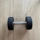 Гантель 10 кг 1