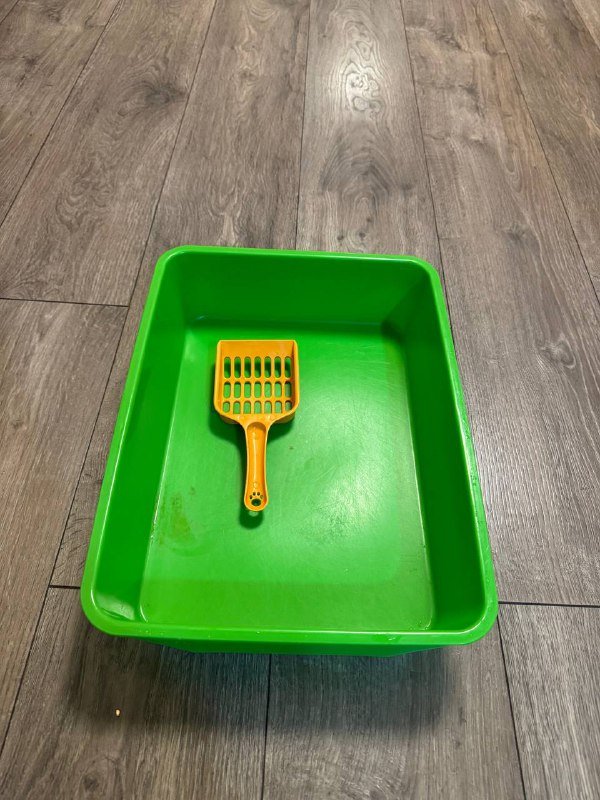 Лоток, наполнитель, миски, когтеточка для кота