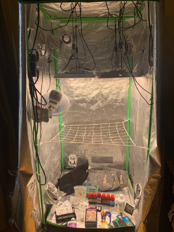 Гроу бокс, свет, Mars Hydro TS1000, удобрения, приборы 3