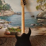 Электрогитара Ibanez RG421EX BKF 7