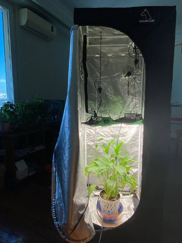 Гроубокс Doberman 60x60x160 комплект 2