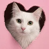 Юна ищет дом 4