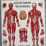 Космические легенды востока, Черный баламут, Библия, Энциклопедия энергетической медицины, Основы практической эниологии, Молитвенный щит, Атлас анатомии человека, Руки света 7
