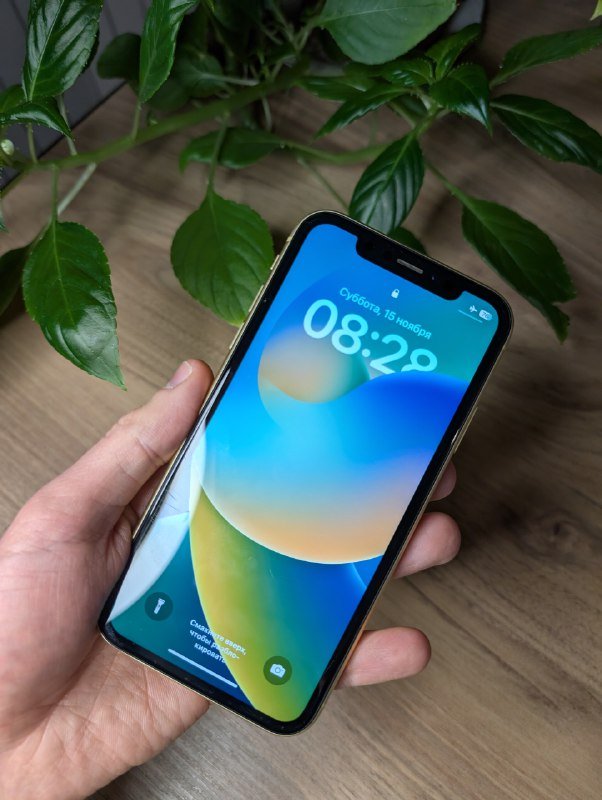 IPhone XR 128 ГБ в жёлтом цвете