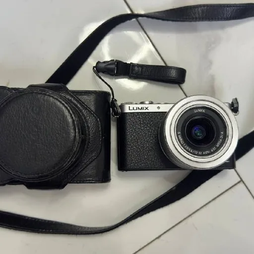 Фотоаппарат Panasonic Lumix DMC-GM1