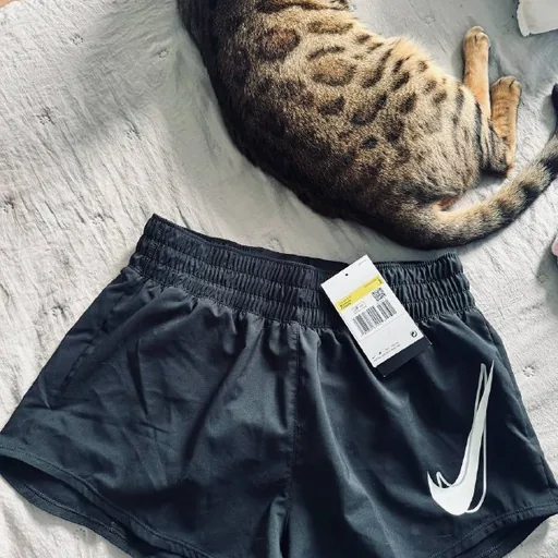 Шорты Nike