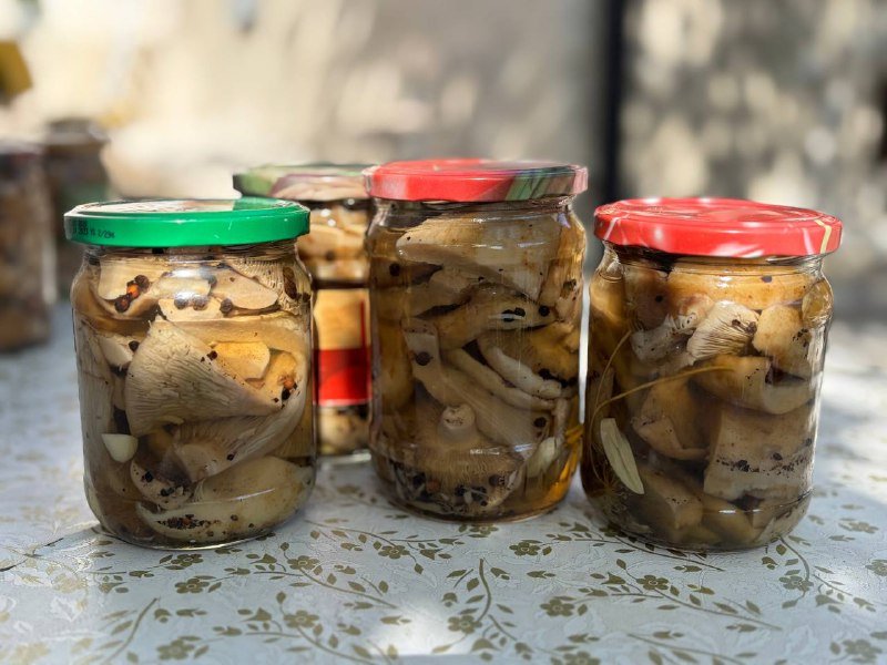 Маринованные грибы грузди, маслята в баночках 0,5 кг 3