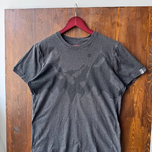 Футболка Arcteryx