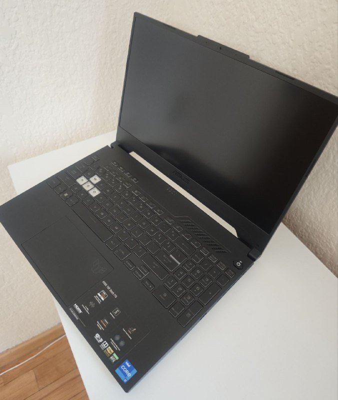 Ноутбук ASUS TUF Dash FX517Z 32GB RAM 1TB SSD RTX 3070