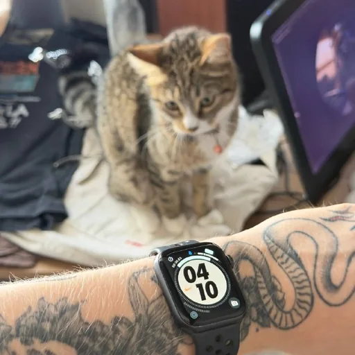 Apple Watch Nike SE, кроссовки Guess, кожаные штаны Scandalis, Nike Initiator, лоферы Greyder
