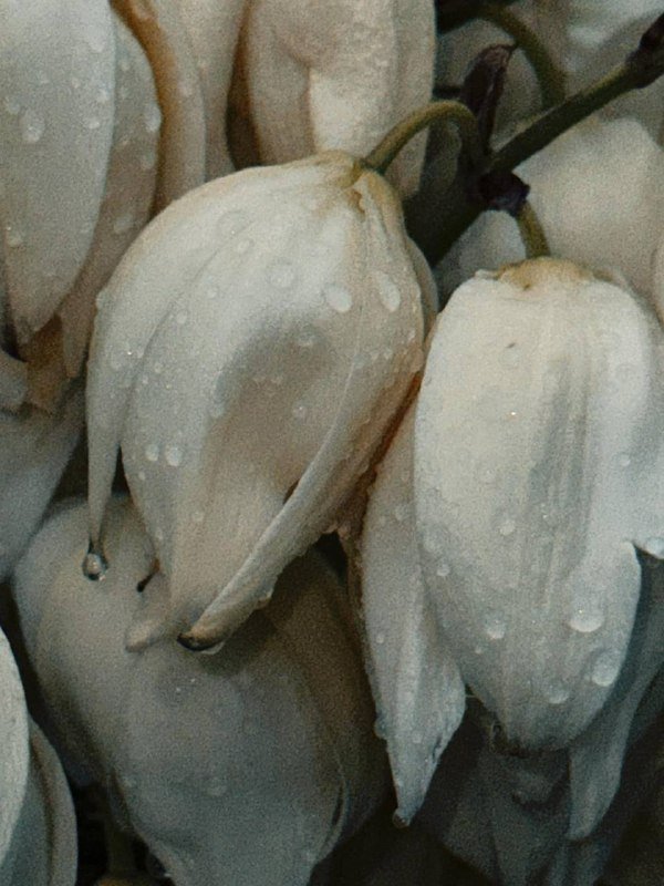 Камера Canon EOS 4000d с объективом и аксессуарами 4