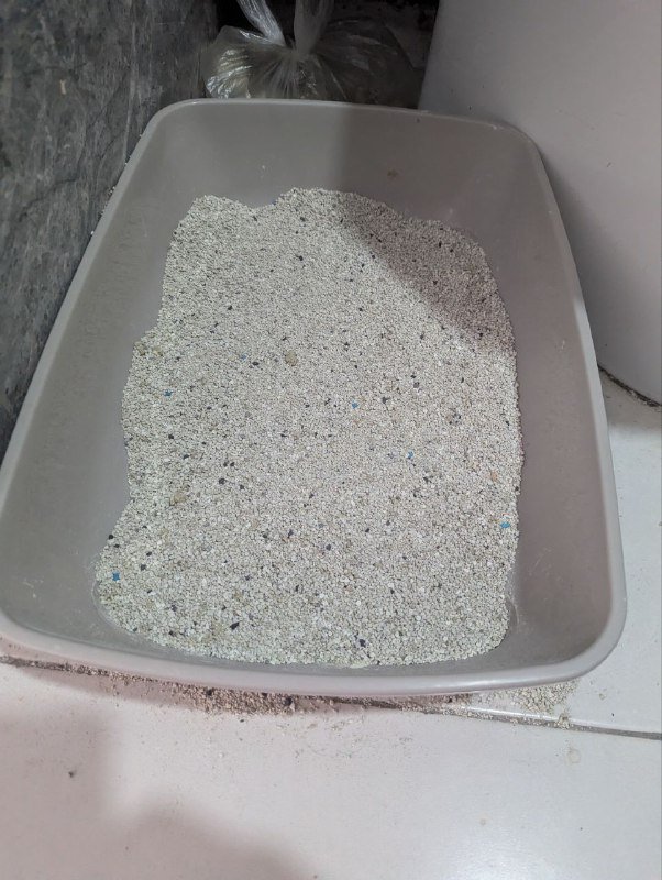 Глубокий лоток для кошек или маленьких собак