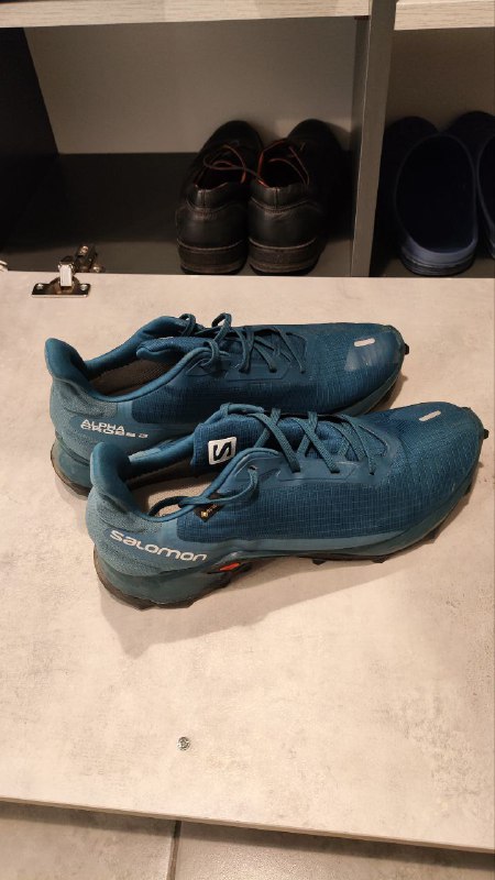 Беговые кроссовки Salomon ALPHACROSS 3 GTX мужские