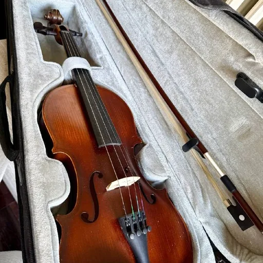 1/2 Strauss Rottman violin