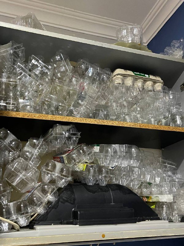 Пластиковые коробки из под яиц