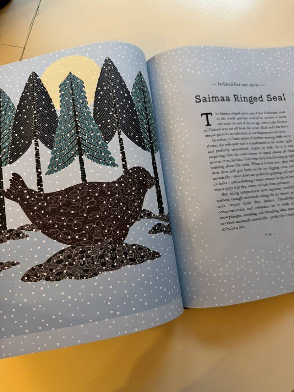 Артбук Junji Ito, Книга про животных для детей на английском 4