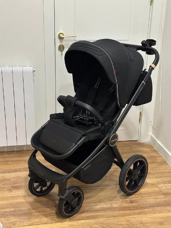 Прогулочная коляска Carrello Epica 1