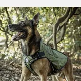 Dog jacket, harness 9