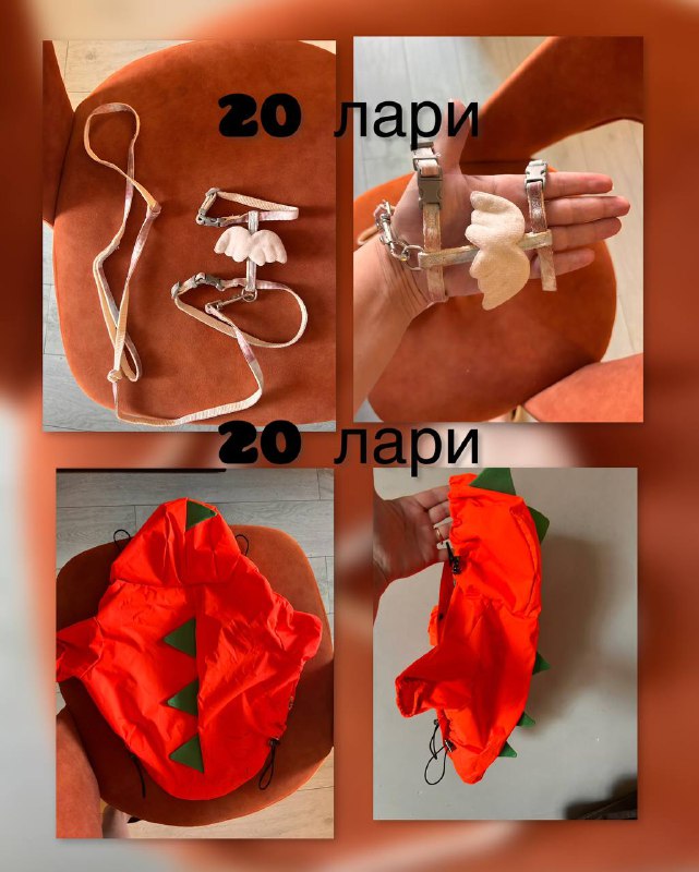 Поводок и шлейка на щенка, дождевик-дракончик