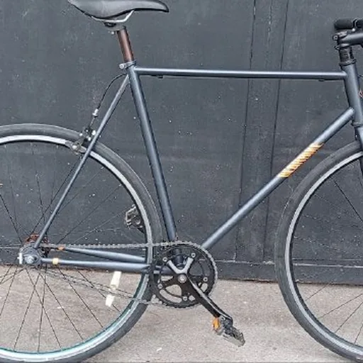 Bear Bike синглспид