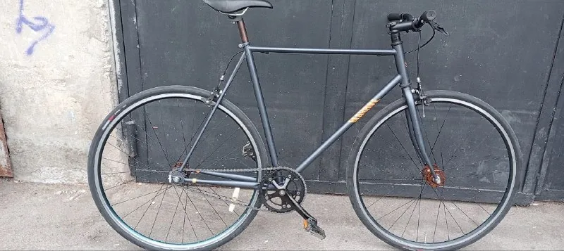 Bear Bike синглспид 1
