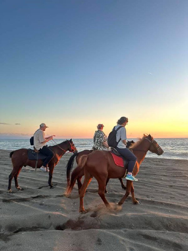 Конные туры по Шекветили и Натанеби