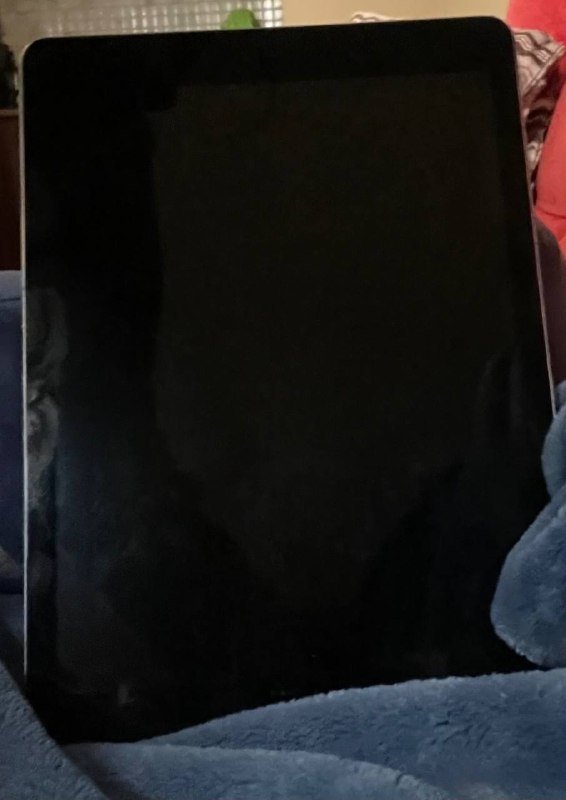 планшет iPad с стилусом