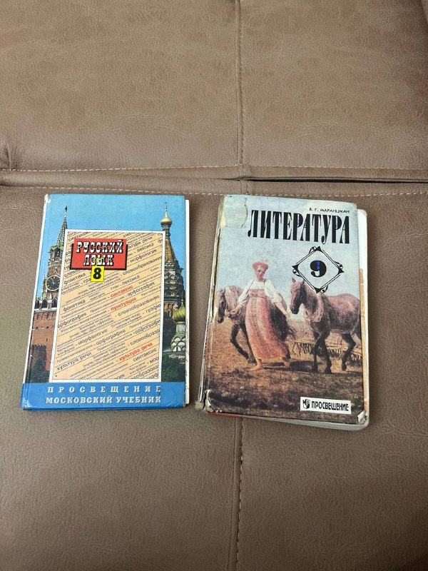 Русский язык 8 класс, Литература 9 класс учебники