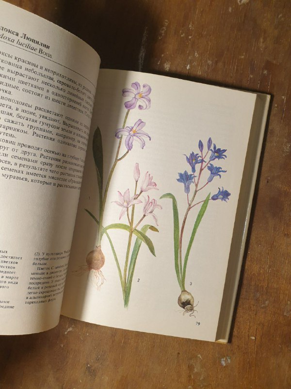 Книги о рыбах, растениях, минералах и консервации овощей 6