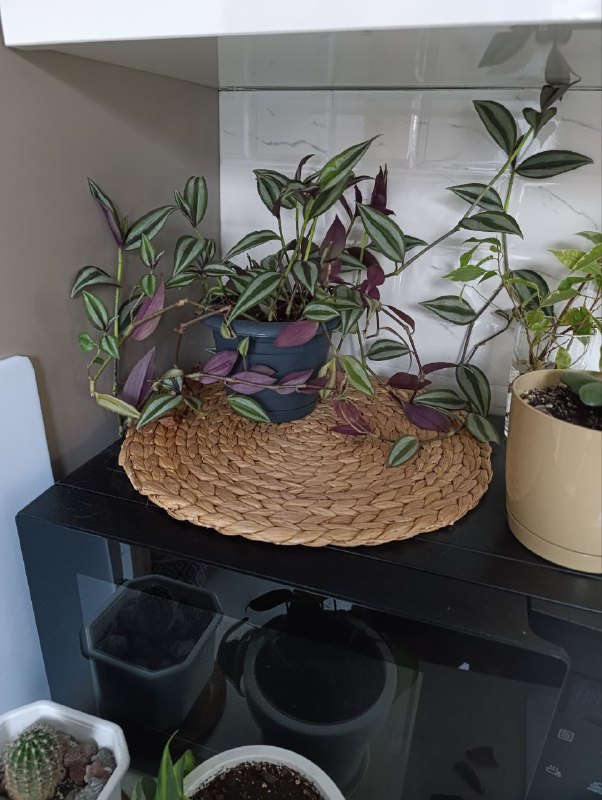 Надувной матрас, фен для волос babyliss, стайлер, кабель HDMI, очки, цветы, свечи ручная работа 9