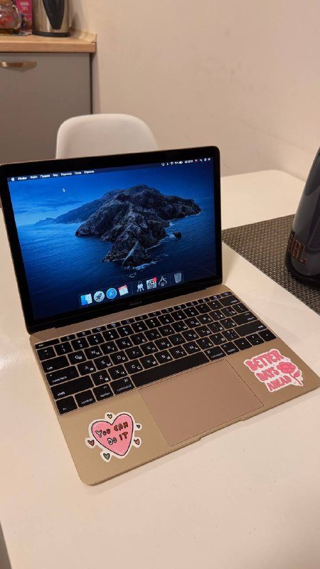 iPhone 11 Pro, MacBook 2015 розовое золото 7