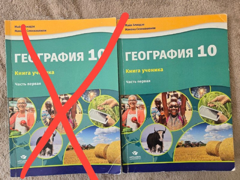 Учебники за 10 класс по грузинскому, английскому, географии, немецкому 4