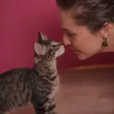 Котёнок Маршалл, 4 месяца 2