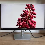 Монитор Dell P2423DE 23,8 дюймов QHD 1